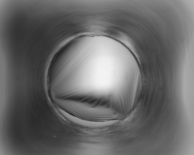 X0000088051485200706081619