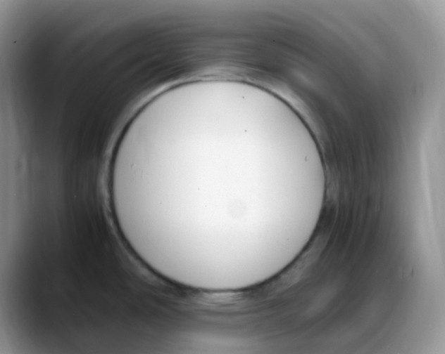 X0000088051486200706081619