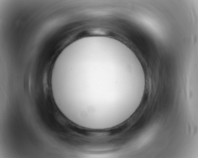 X0000088051487200706081619
