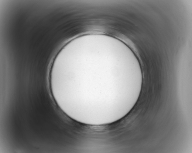 X0000088051488200706081619