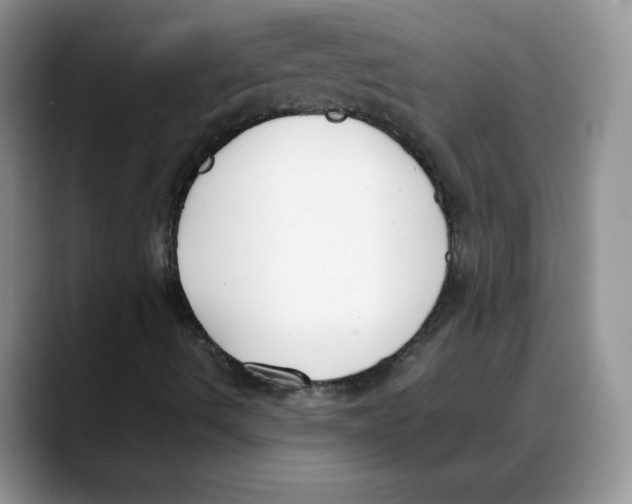 X0000088051490200706081619