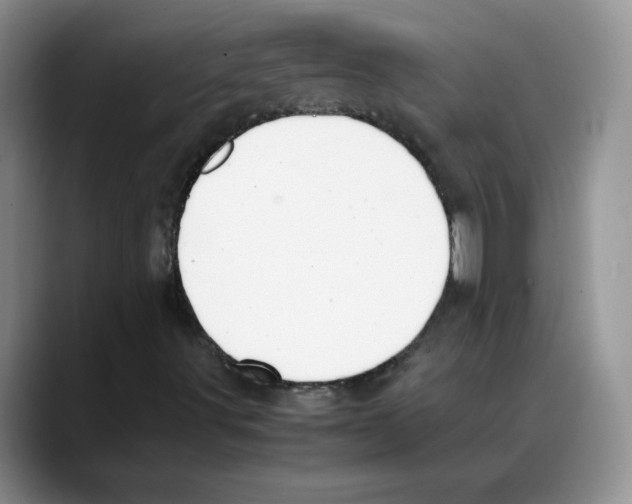 X0000088051491200706081619
