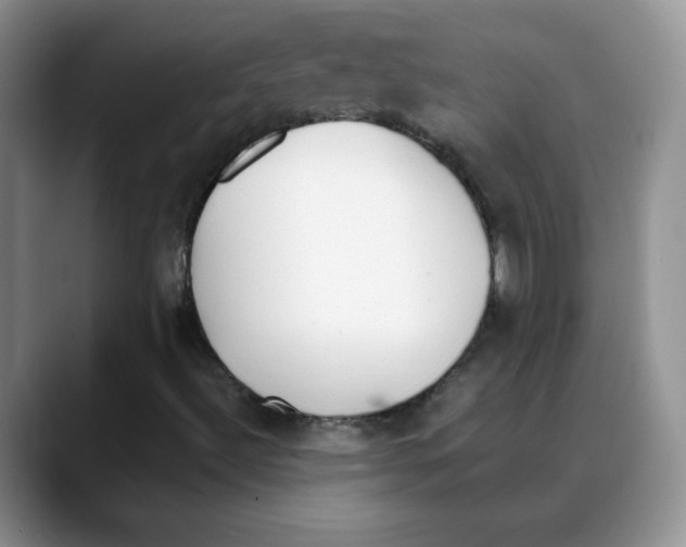 X0000088051492200706081619