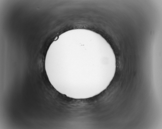 X0000088051493200706081619