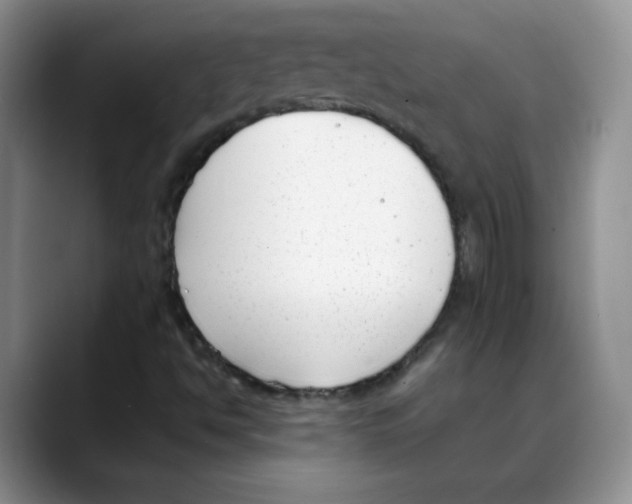 X0000088051494200706081619
