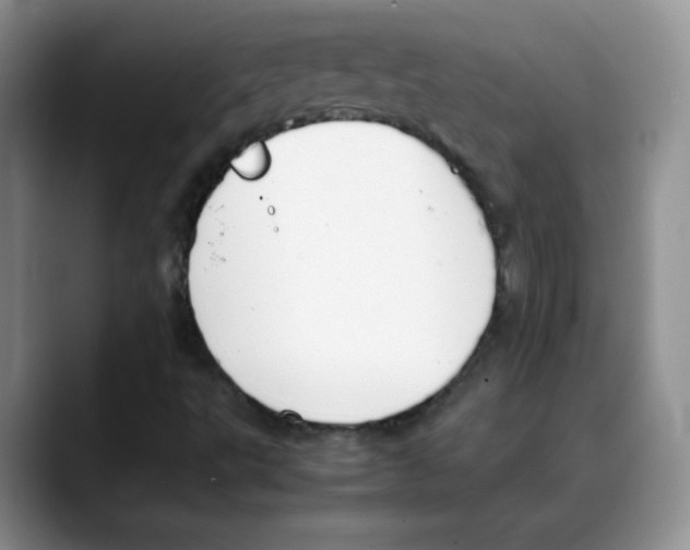 X0000088051495200706081619