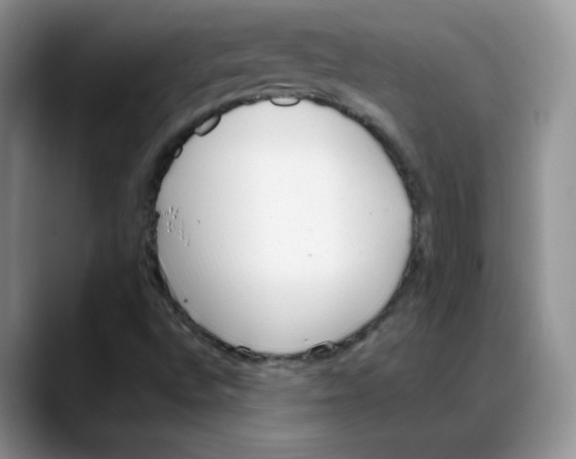X0000088051496200706081619