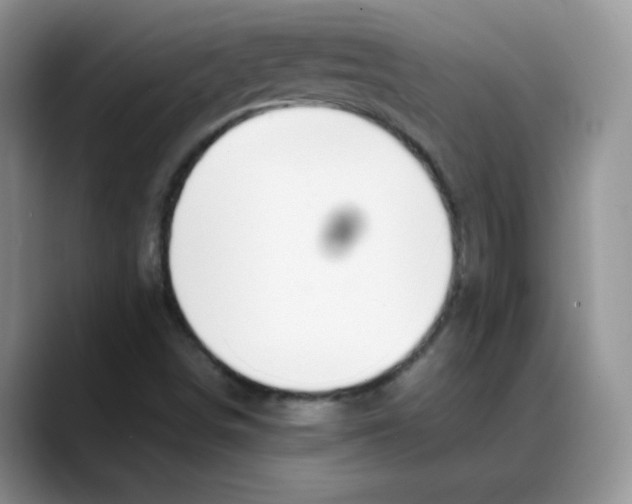 X0000088051498200706081619
