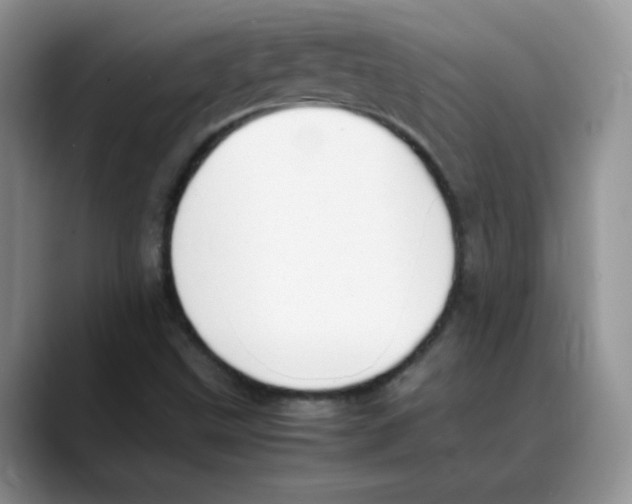 X0000088051499200706081619