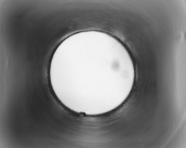 X0000088051500200706081619