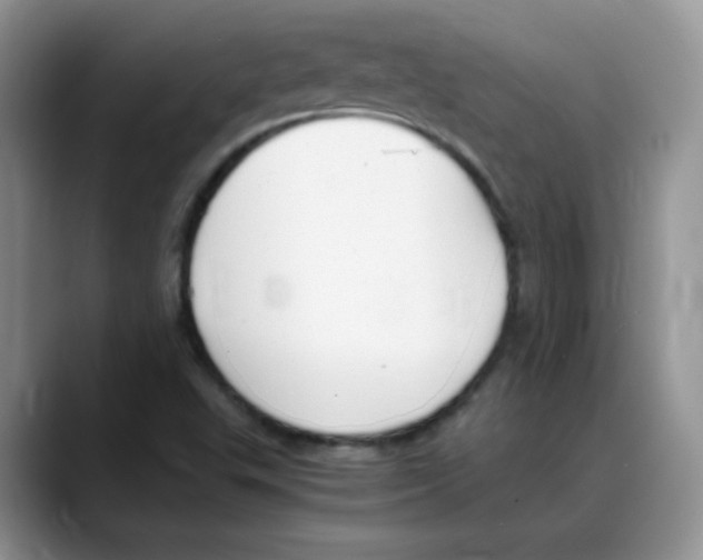 X0000088051503200706081619