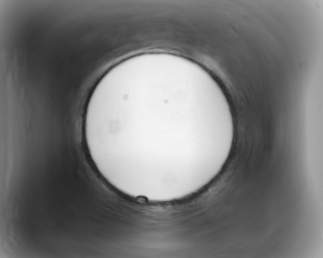 X0000088051504200706081619