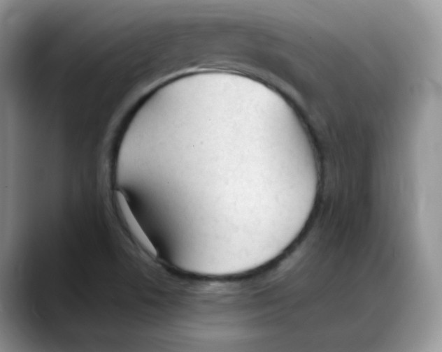 X0000088051506200706081619