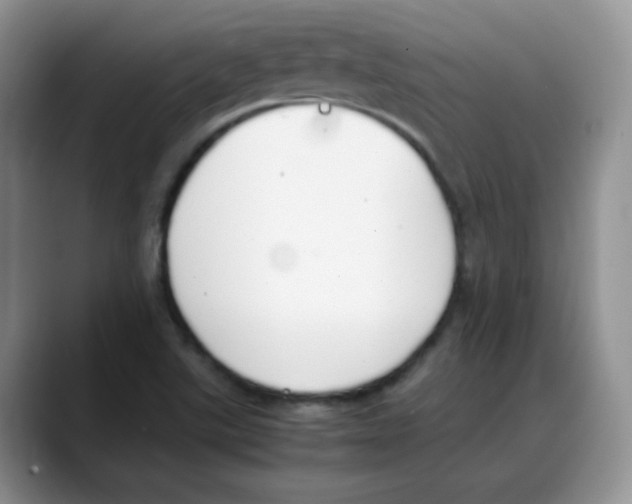 X0000088051507200706081619