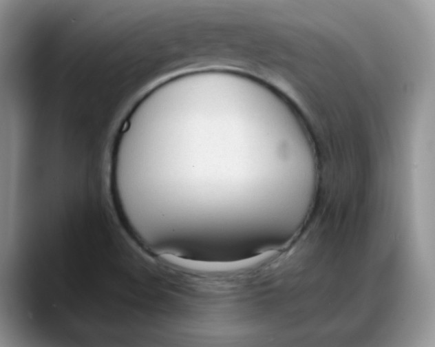 X0000088051508200706081619