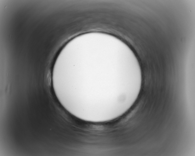 X0000088051509200706081619
