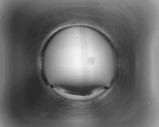 X0000088051510200706081619