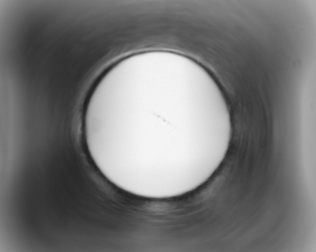 X0000088051511200706081619