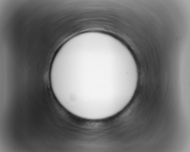 X0000088051513200706081619