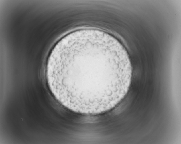 X0000088051514200706081619