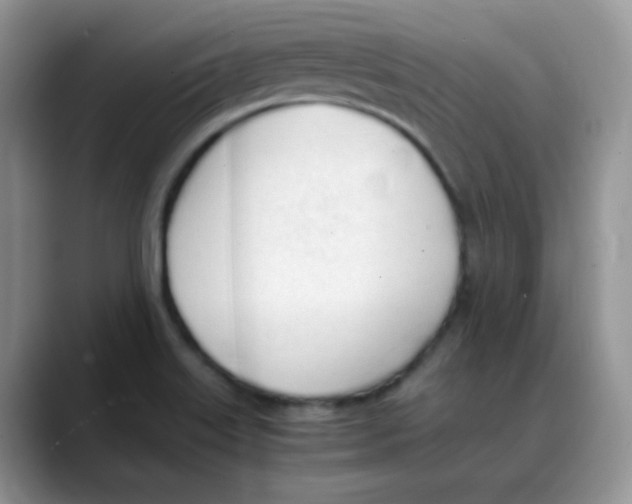X0000088051515200706081619
