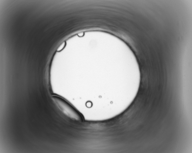 X0000088051516200706081619