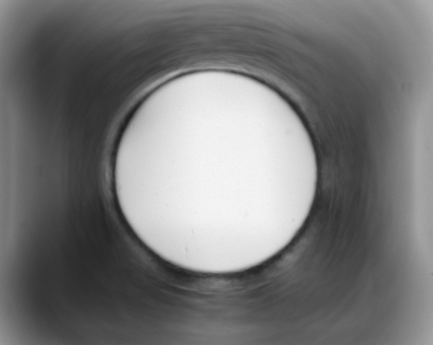 X0000088051517200706081619