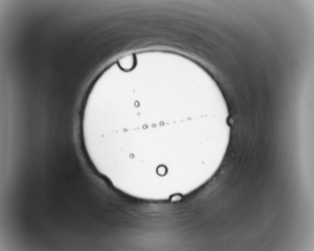 X0000088051518200706081619