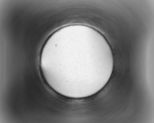 X0000088051519200706081619