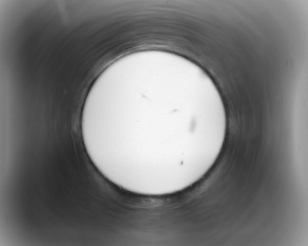 X0000088051521200706081619