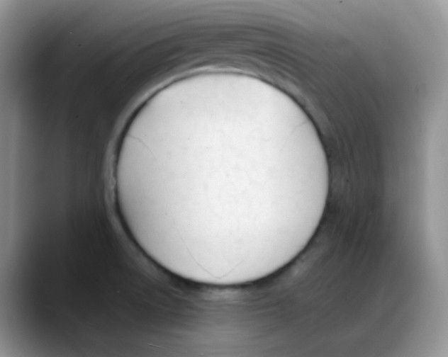 X0000088051522200706081619