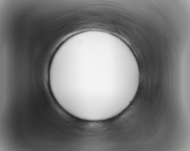 X0000088051523200706081619