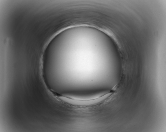 X0000088051524200706081619
