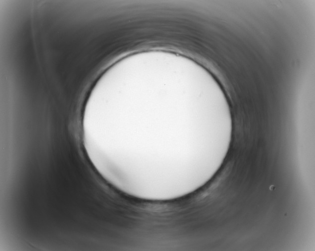 X0000088051525200706081619