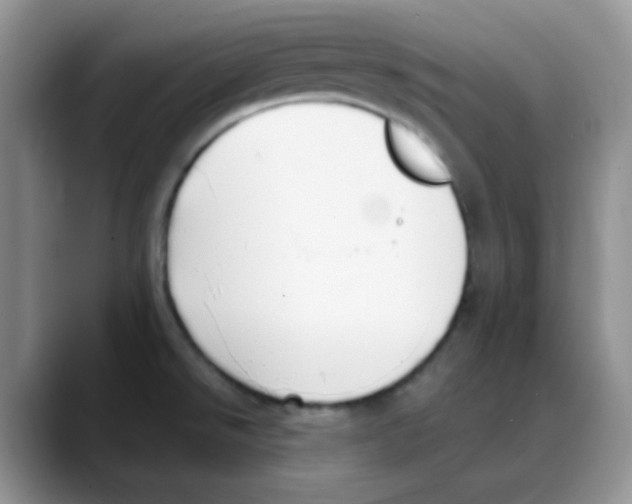 X0000088051526200706081619