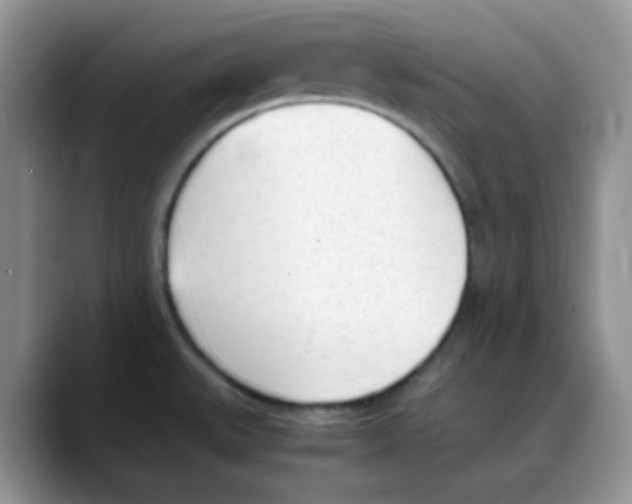 X0000088051527200706081619