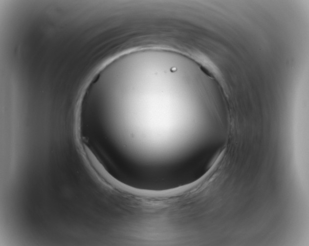 X0000088051528200706081619