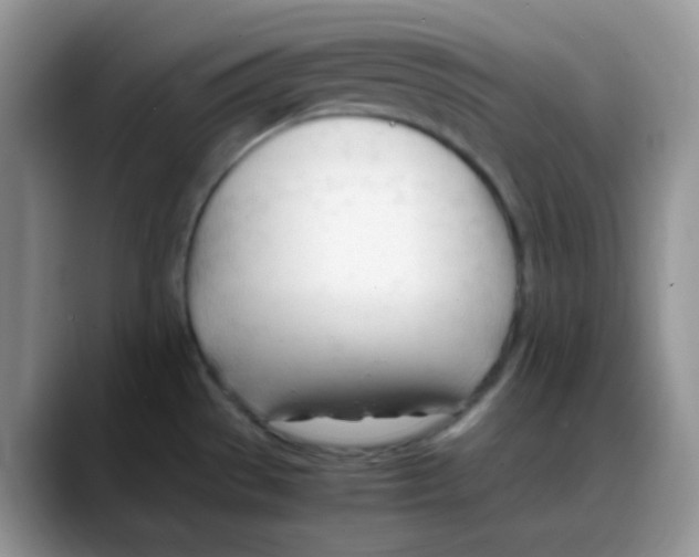 X0000088051529200706081619