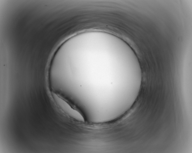 X0000088051530200706081619