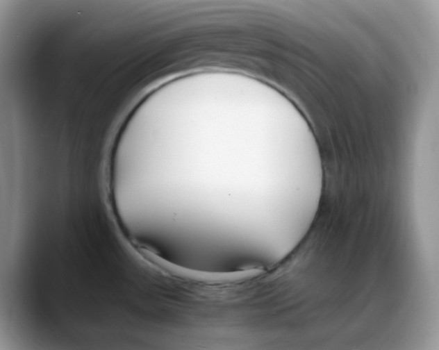 X0000088051531200706081619