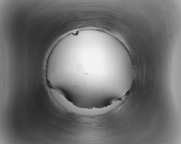 X0000088051532200706081619
