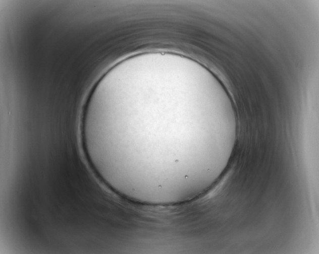 X0000088051533200706081619