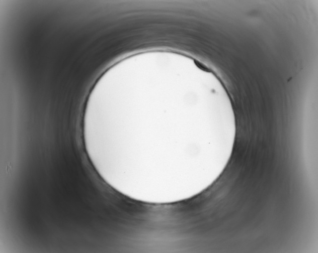 X0000088051534200706081619