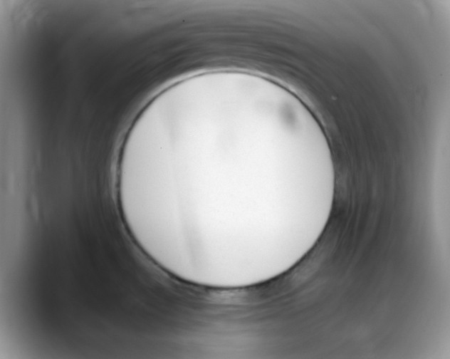 X0000088051535200706081619