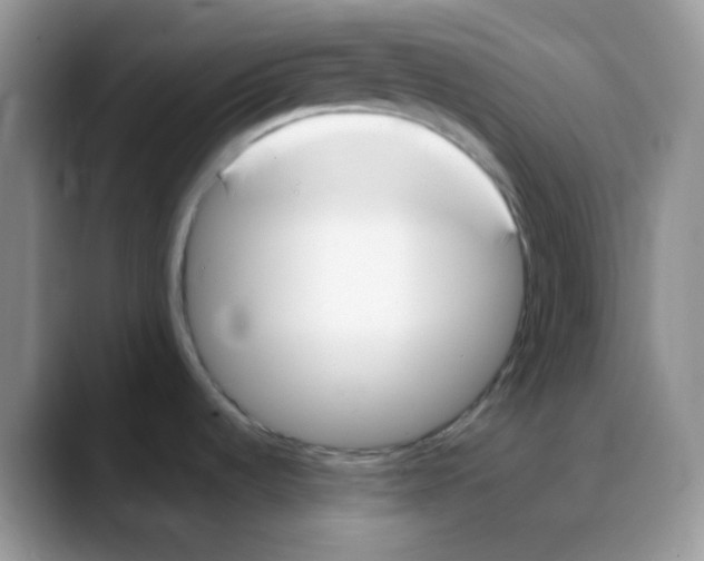 X0000088051536200706081619