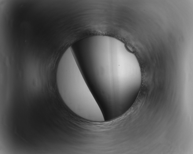 X0000088060027200705110922