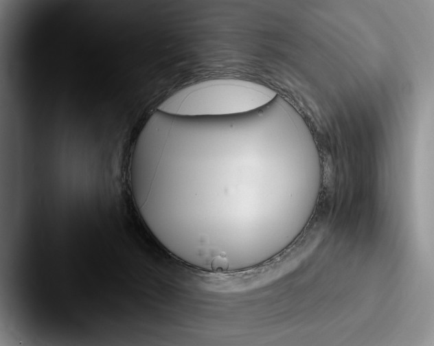 X0000088060030200705110922