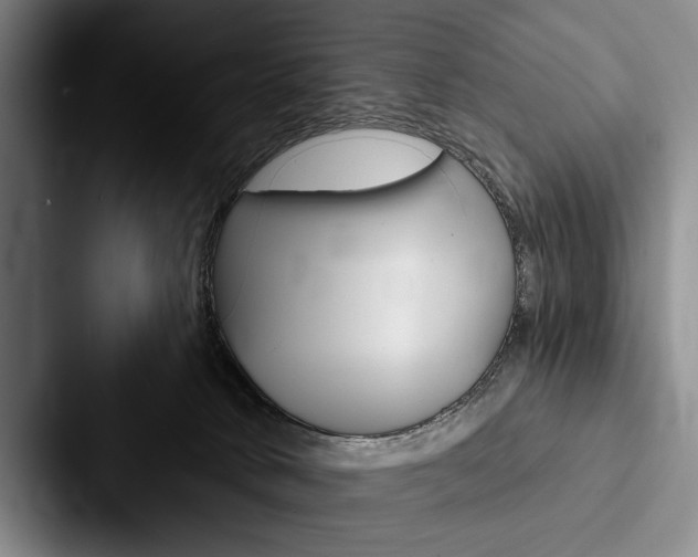X0000088060034200705110922