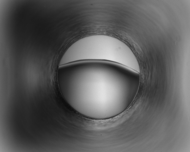 X0000088060035200705110922