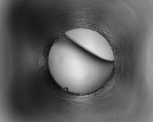 X0000088060040200705110922